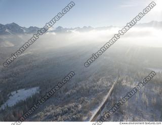 background winter nature forest 0007